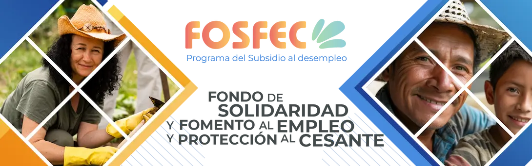 Completa