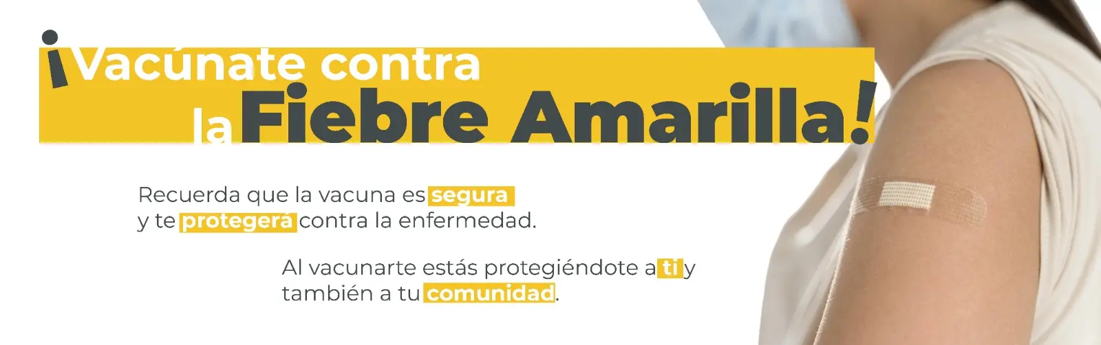 banner fiebre