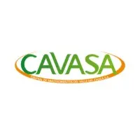 Logo cavasa