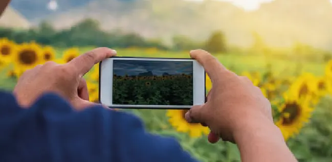 Taller de Fotografía con Celulares