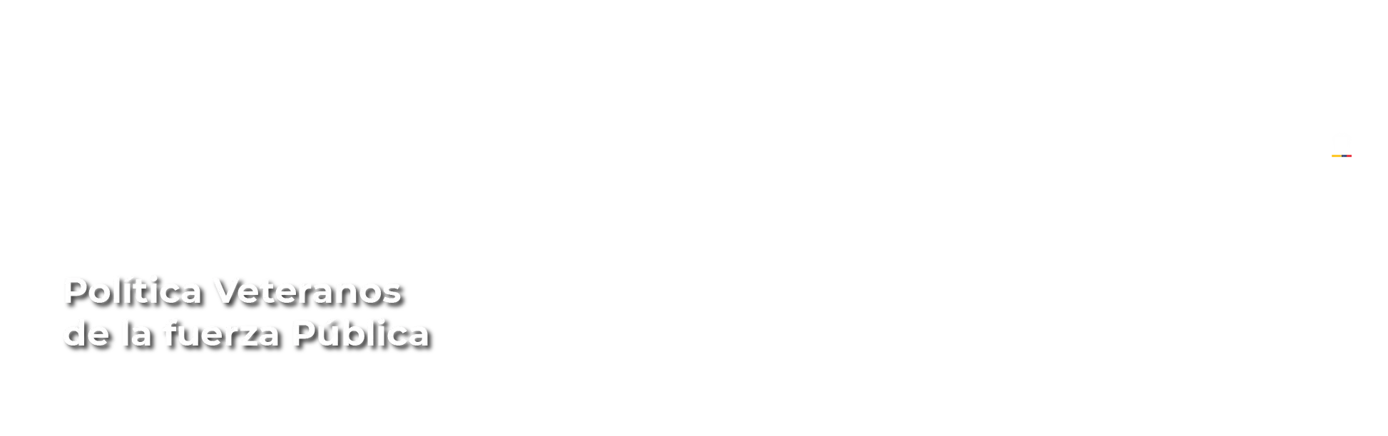 Banner Veterano (3)