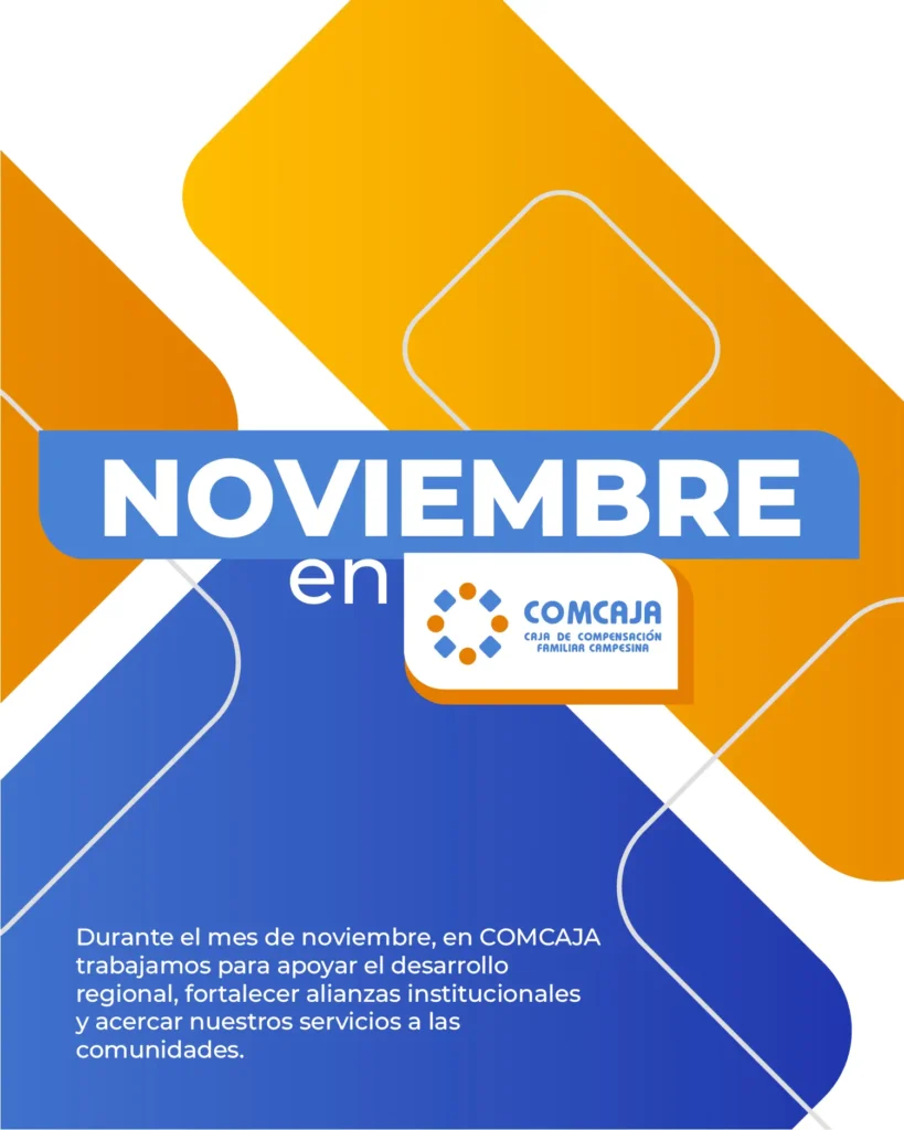 Boletín noviembre