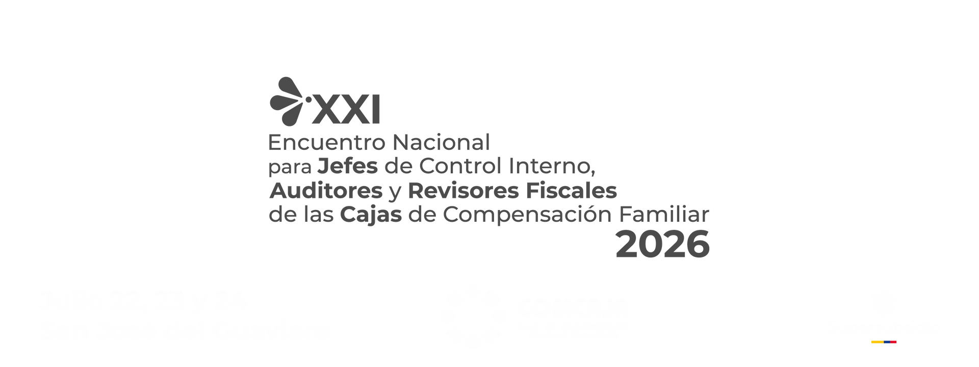 Banner revisores fiscales (2)-